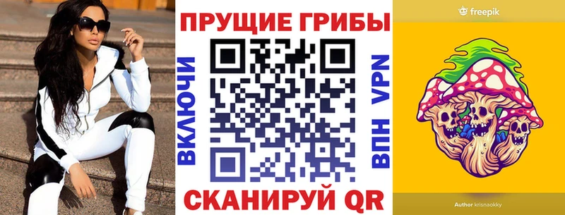 Купить где  Болгар  Галлюциногенные грибы MAGIC MUSHROOMS 